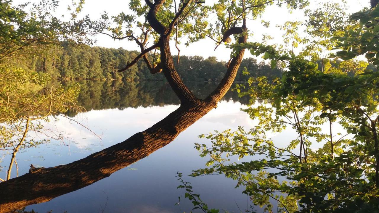 Sidowseetraum Himmelpfort Bagian luar foto